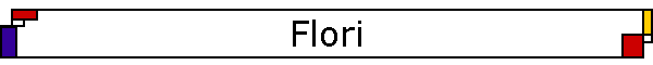 Flori